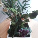 Centre de table: hortensia, eucalyptus, hêtre, mousse plate (Nivolas)